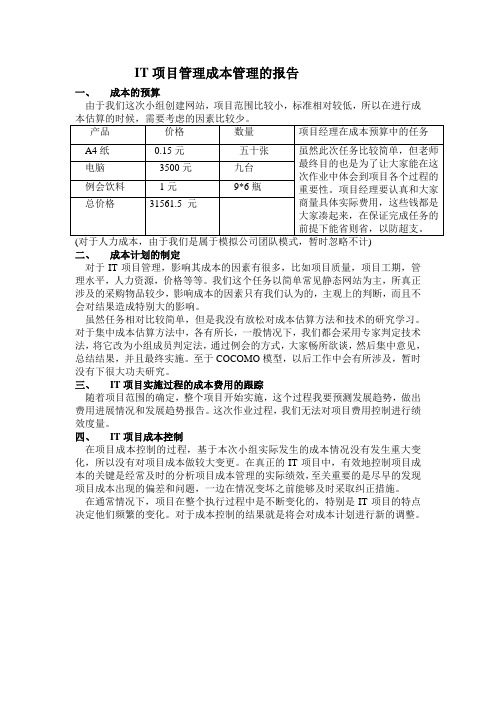 IT项目成本管理报告