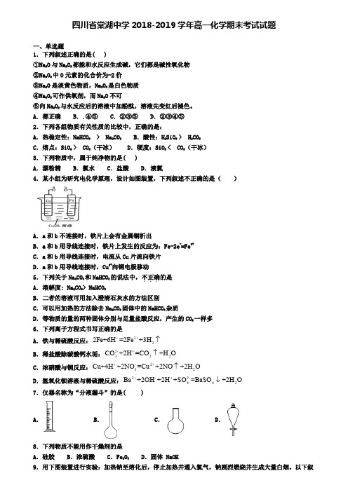 四川省棠湖中学2018-2019学年高一化学期末考试试题