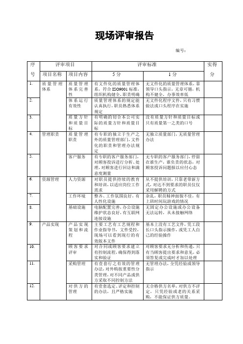 现场评审报告