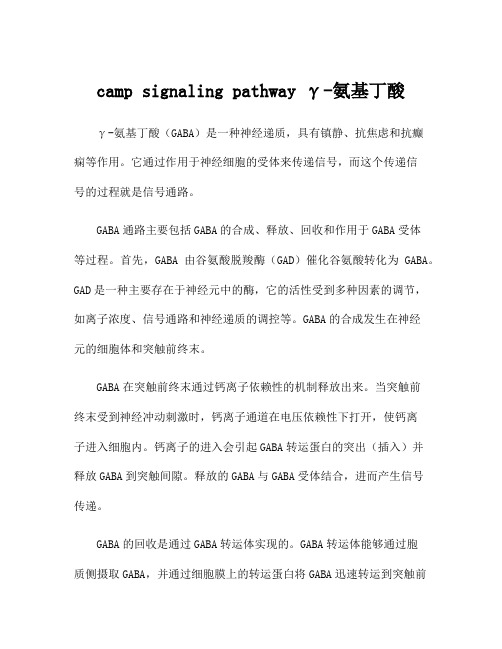 camp signaling pathway γ-氨基丁酸