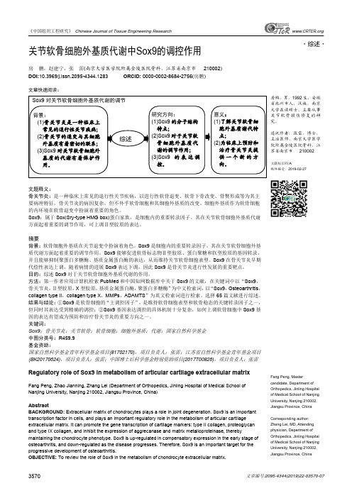 关节软骨细胞外基质代谢中Sox9的调控作用