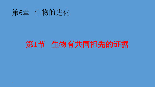 生物有共同祖先的证据-高中生物必修二