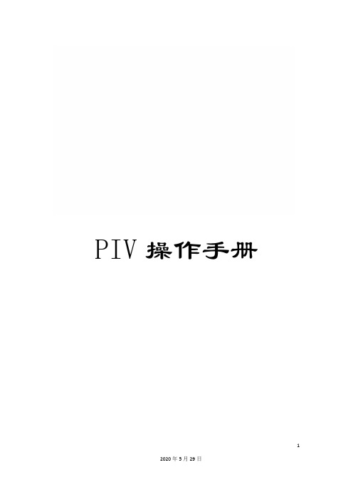 PIV操作手册