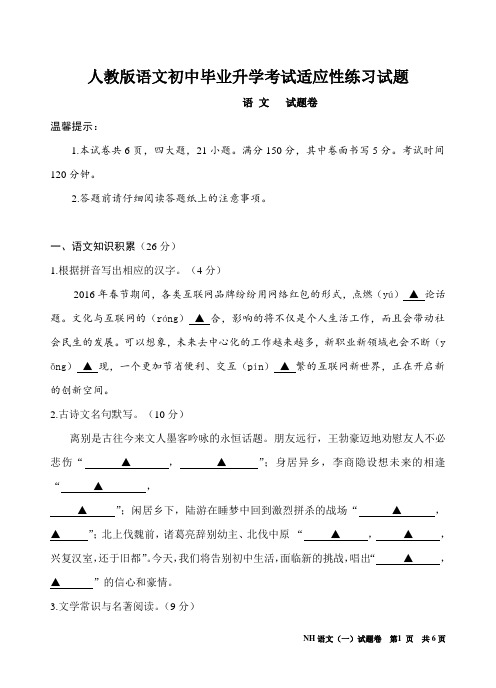 人教版语文初中毕业升学考试适应性练习试题