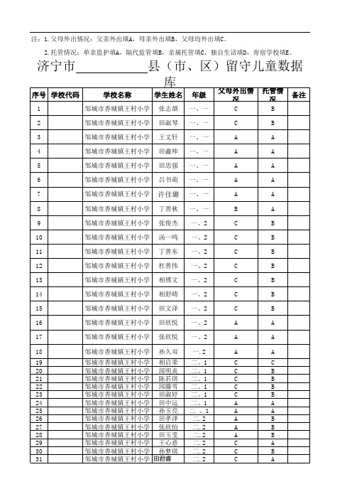 王村小学留守儿童统计表 (3)