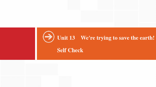 2020春人教版英语九年级下册必刷题-Unit 13 Self Check