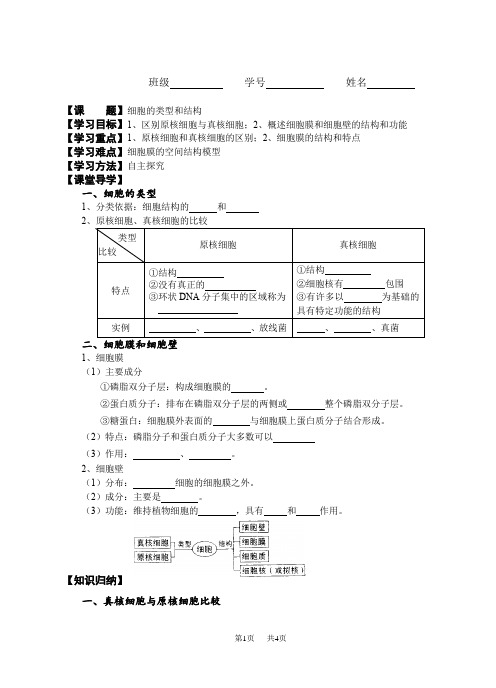 细胞的类型和结构学案_苏教版_高中生物必修1