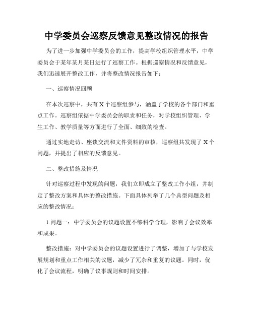 中学委员会巡察反馈意见整改情况的报告