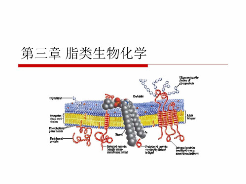 第3章脂类生物化学PPT课件