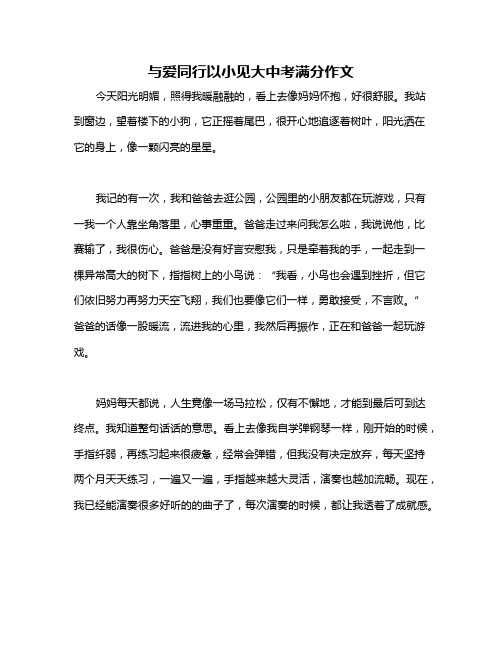 与爱同行以小见大中考满分作文