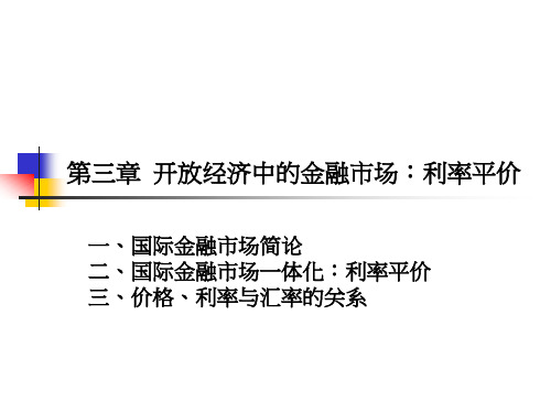 第三章开放经济中的金融市场利率平价2