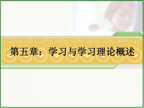 e5 学习理论概述