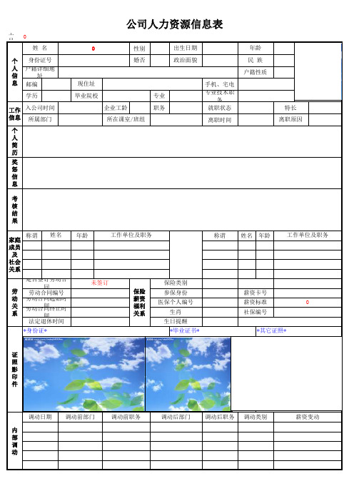 人力资源信息系统(EXCEL模版)