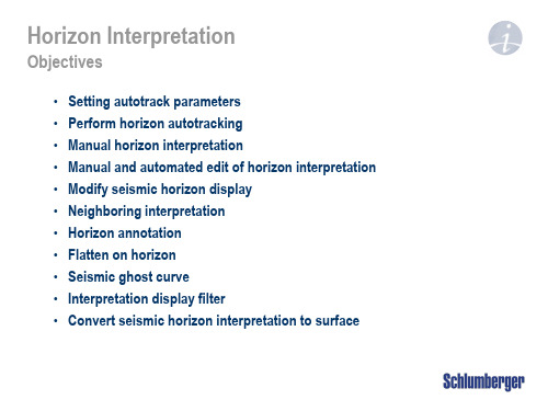 Petrel地震解释M7_Horizon_Interpretation