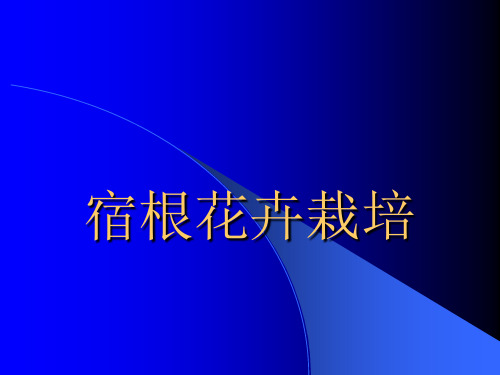 14宿根花卉栽培PPT课件