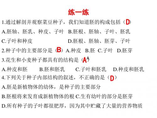 种子的萌发 PPT课件8 济南版