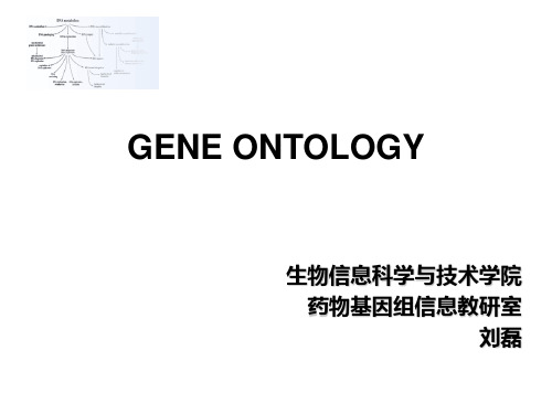 网络生物分析 GENE ONTOLOGY