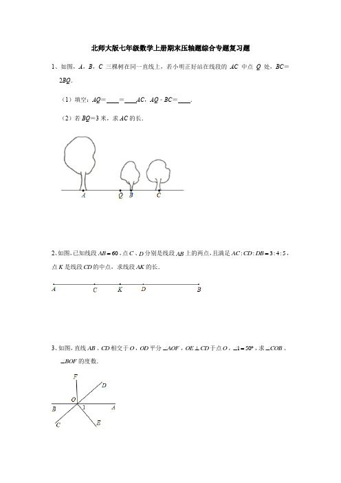 北师大版七年级数学上册：期末压轴题综合专题复习 (含答案)