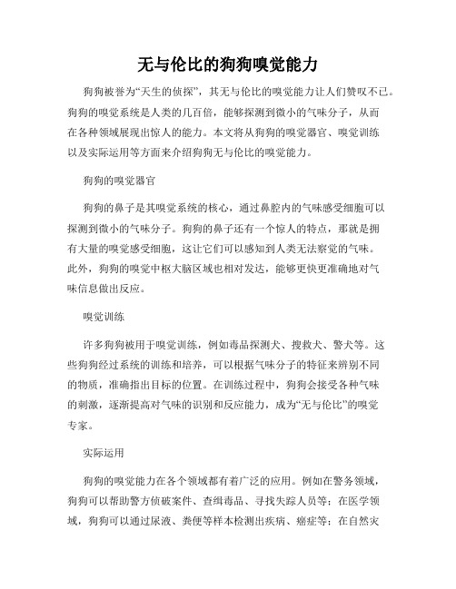 无与伦比的狗狗嗅觉能力