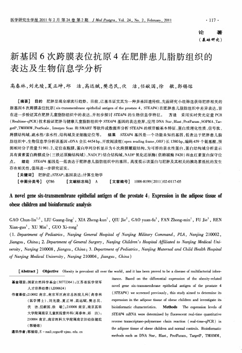 新基因6次跨膜表位抗原4在肥胖患儿脂肪组织的表达及生物信息学分析