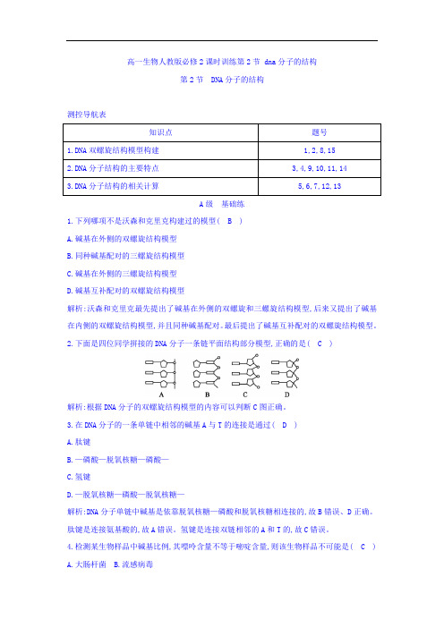 江苏省启东中学高一生物人教版必修2 课时训练： dna分子的结构 Word版含答案