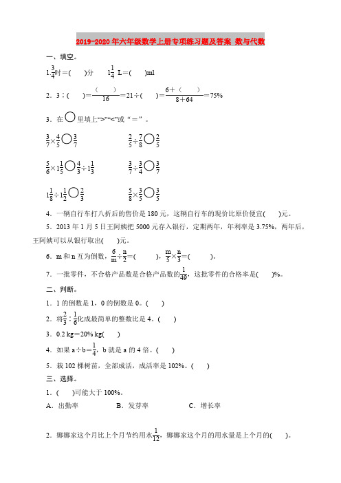 2019-2020年六年级数学上册专项练习题及答案 数与代数