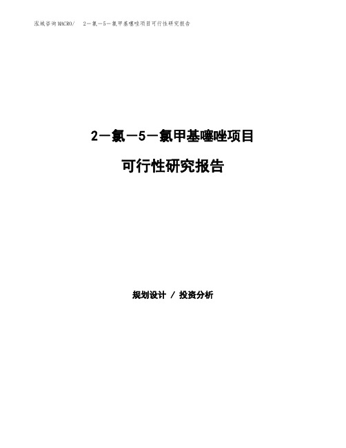 2-氯-5-氯甲基噻唑项目可行性研究报告(立项备案下载可编辑) (1)