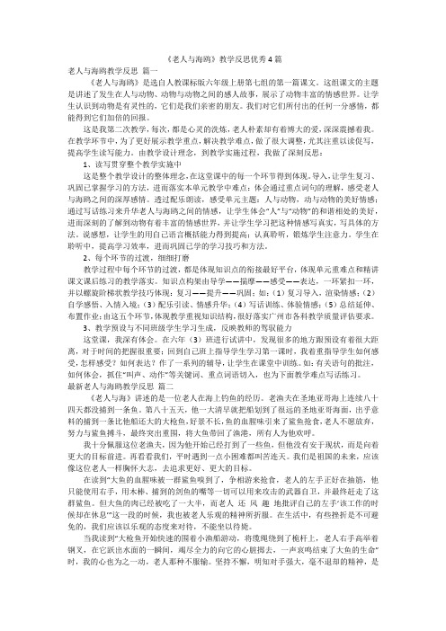 《老人与海鸥》教学反思优秀4篇