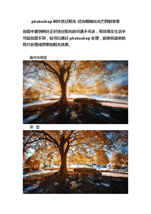 photoshop树叶透过阳光-径向模糊出光芒四射效果