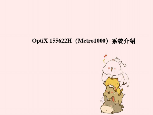 OptiX155622HMetro1000系统介绍