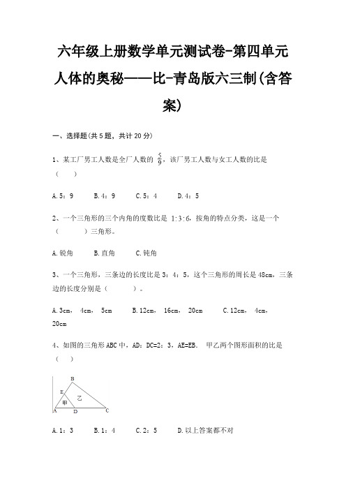 六年级上册数学单元测试卷-第四单元 人体的奥秘——比-青岛版六三制(含答案)