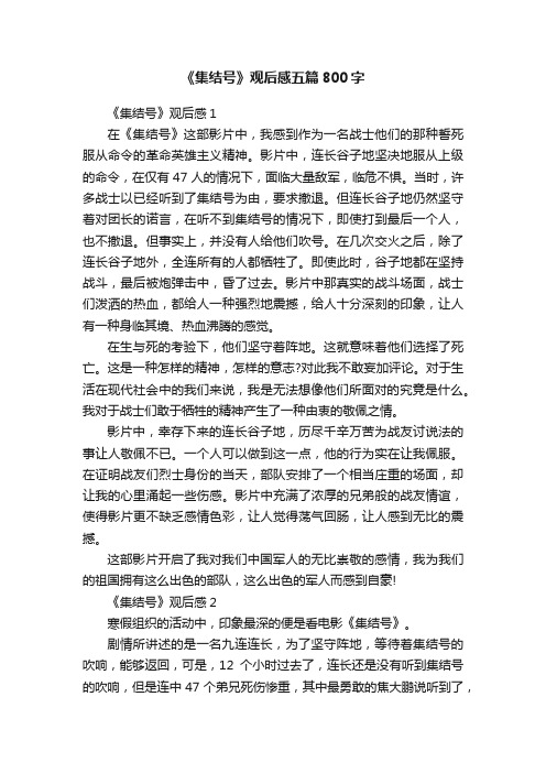 《集结号》观后感五篇800字