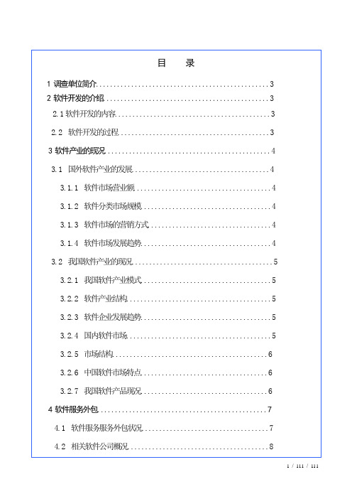 软件市场调查报告