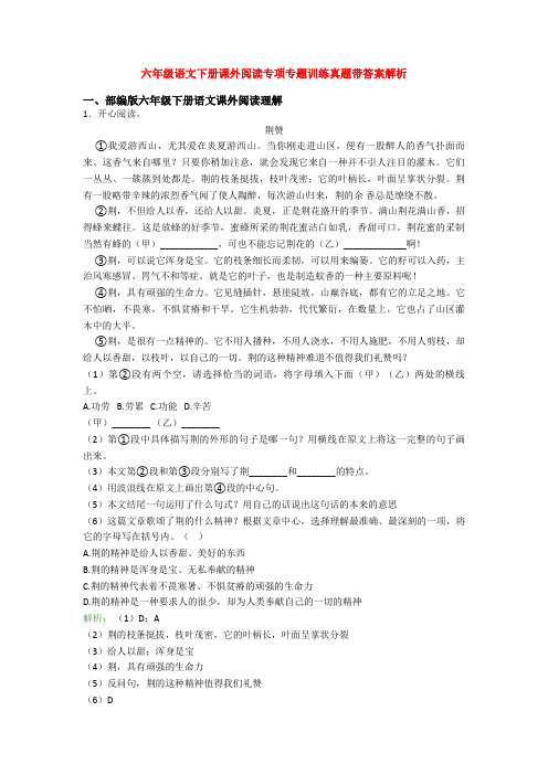 六年级语文下册课外阅读专项专题训练真题带答案解析