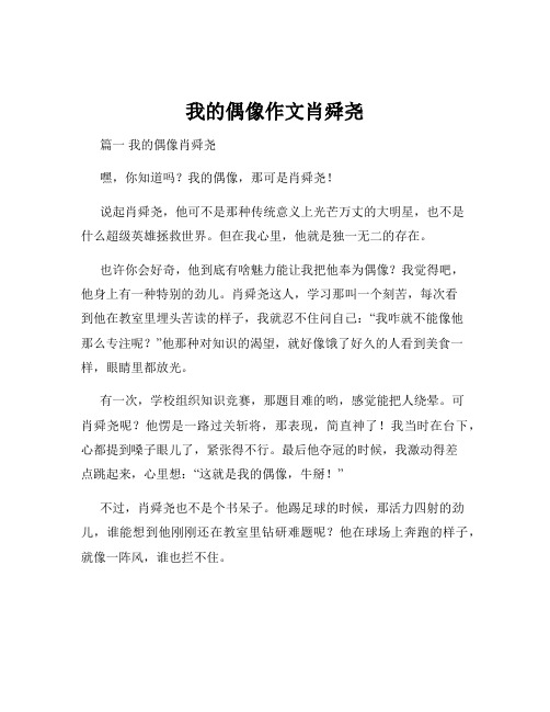 我的偶像作文肖舜尧