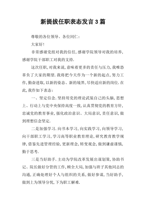 新提拔任职表态发言3篇