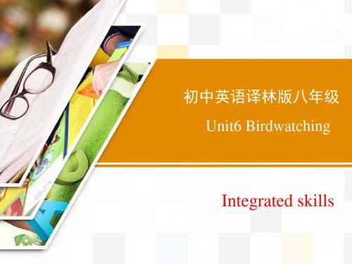 牛津译林版英语八年级上册Unit6 Integrated skills 精品课件