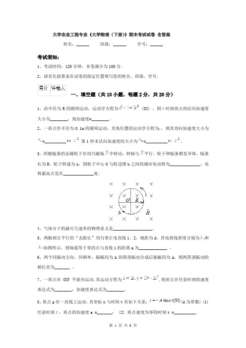 大学农业工程专业《大学物理（下册）》期末考试试卷 含答案