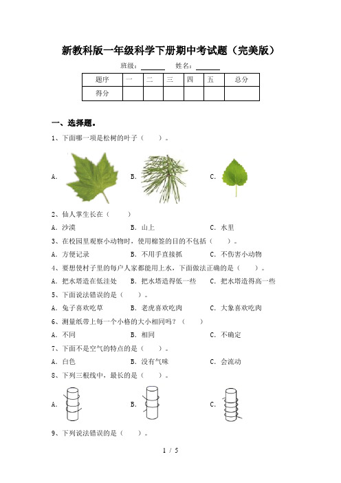 新教科版一年级科学下册期中考试题(完美版)