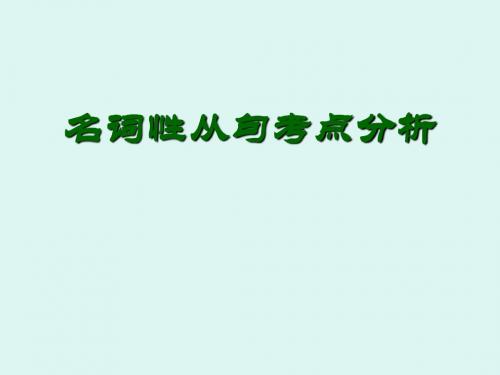 名词性从句难点讲解