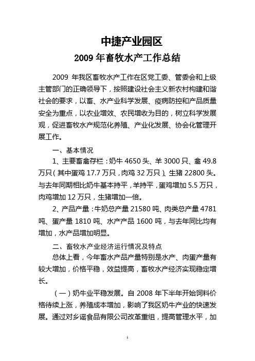 2009总结