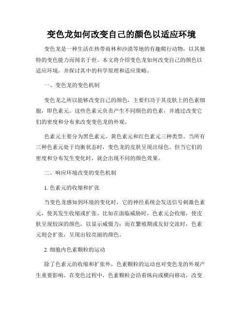 变色龙如何改变自己的颜色以适应环境