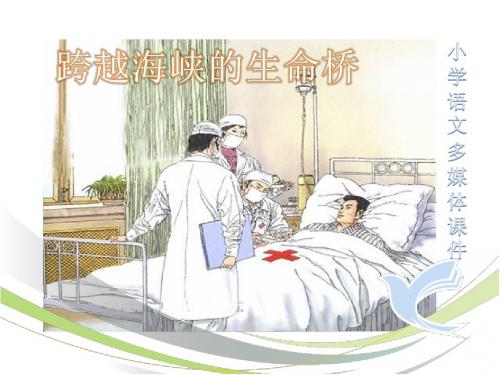 《跨越海峡的生命桥》ppt课件最新版