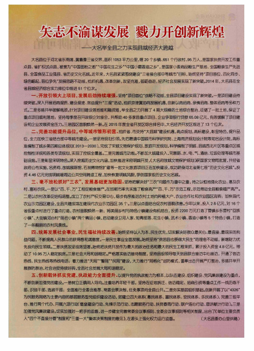 矢志不渝谋发展 戮力开创新辉煌——大名举全县之力实现县域经济大跨越