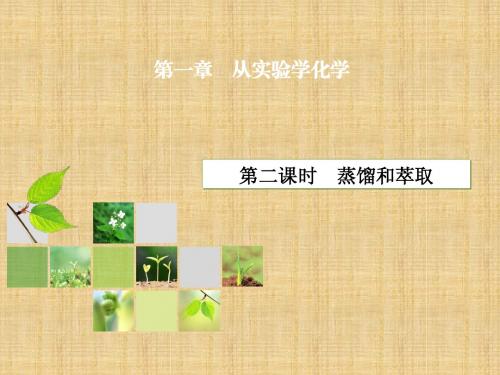 2013-2014学年高一化学配套课件(人教版 必修1):第1章 第1节 第2课时 蒸馏和萃取