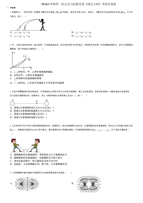 2024高考物理一轮总复习标配用卷(湖北专版)考前密卷版