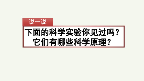 人教版三年级语文下册第四单元习作教学指导《我做了一项小实验》精讲优秀图文展示课件PPT