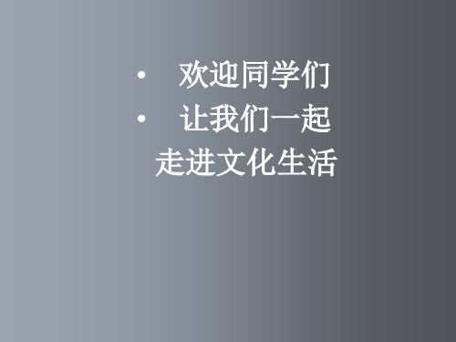 高二政治 文化生活第一单元复习 新课标 人教版