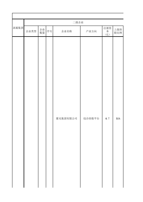 清华控股集团主要企业总览表(总表)