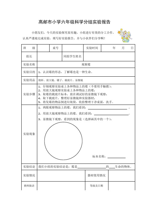 2六上《观察霉》实验报告